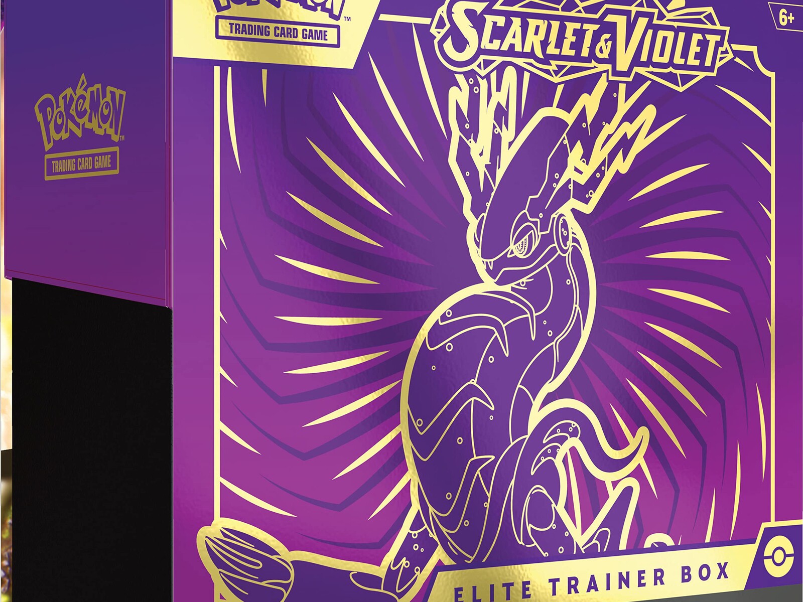 Pokémon TCG products at Trotta's Hobbies